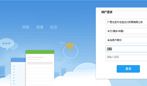 管理系統(tǒng)開發(fā)